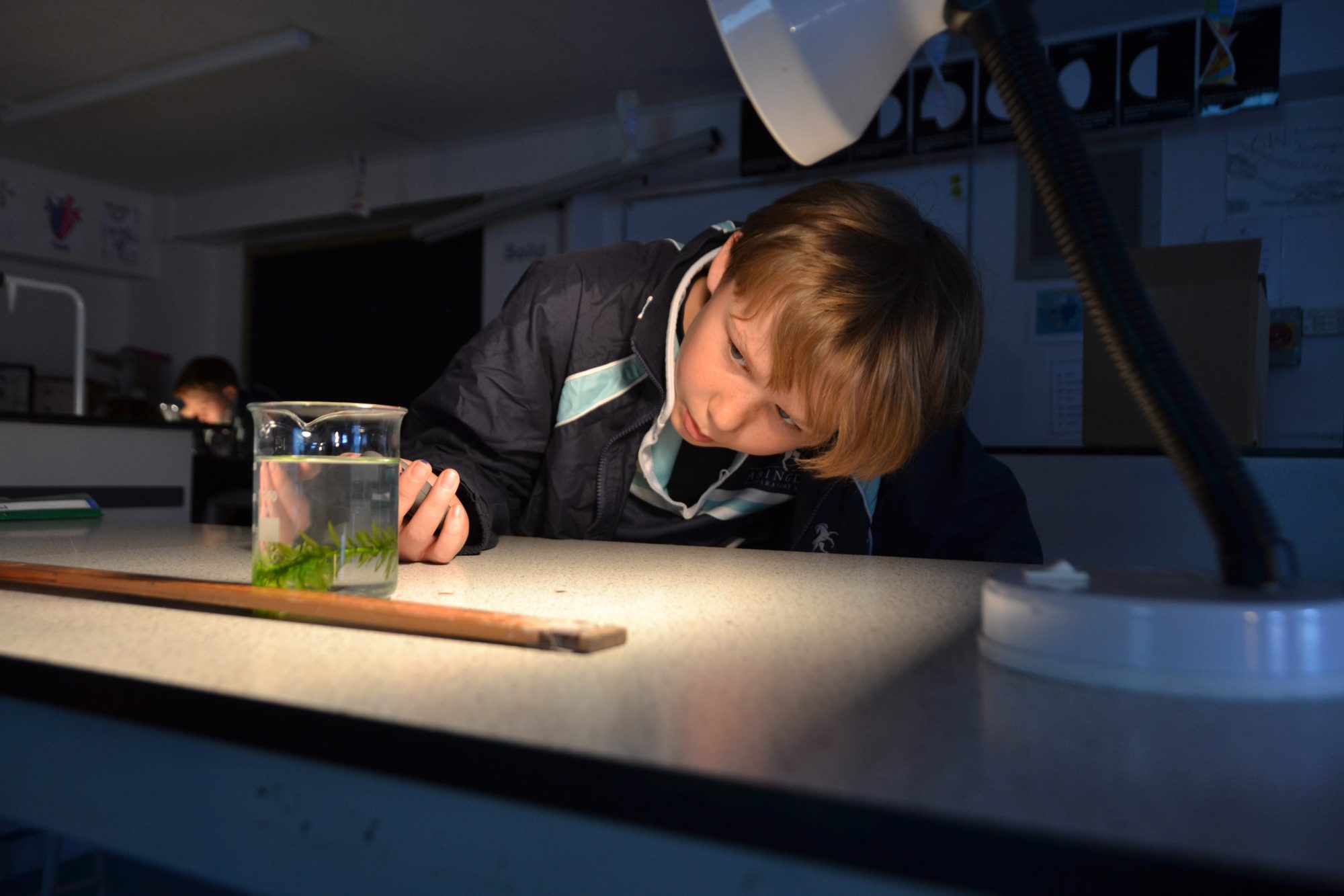 Abingdon Prep science lesson