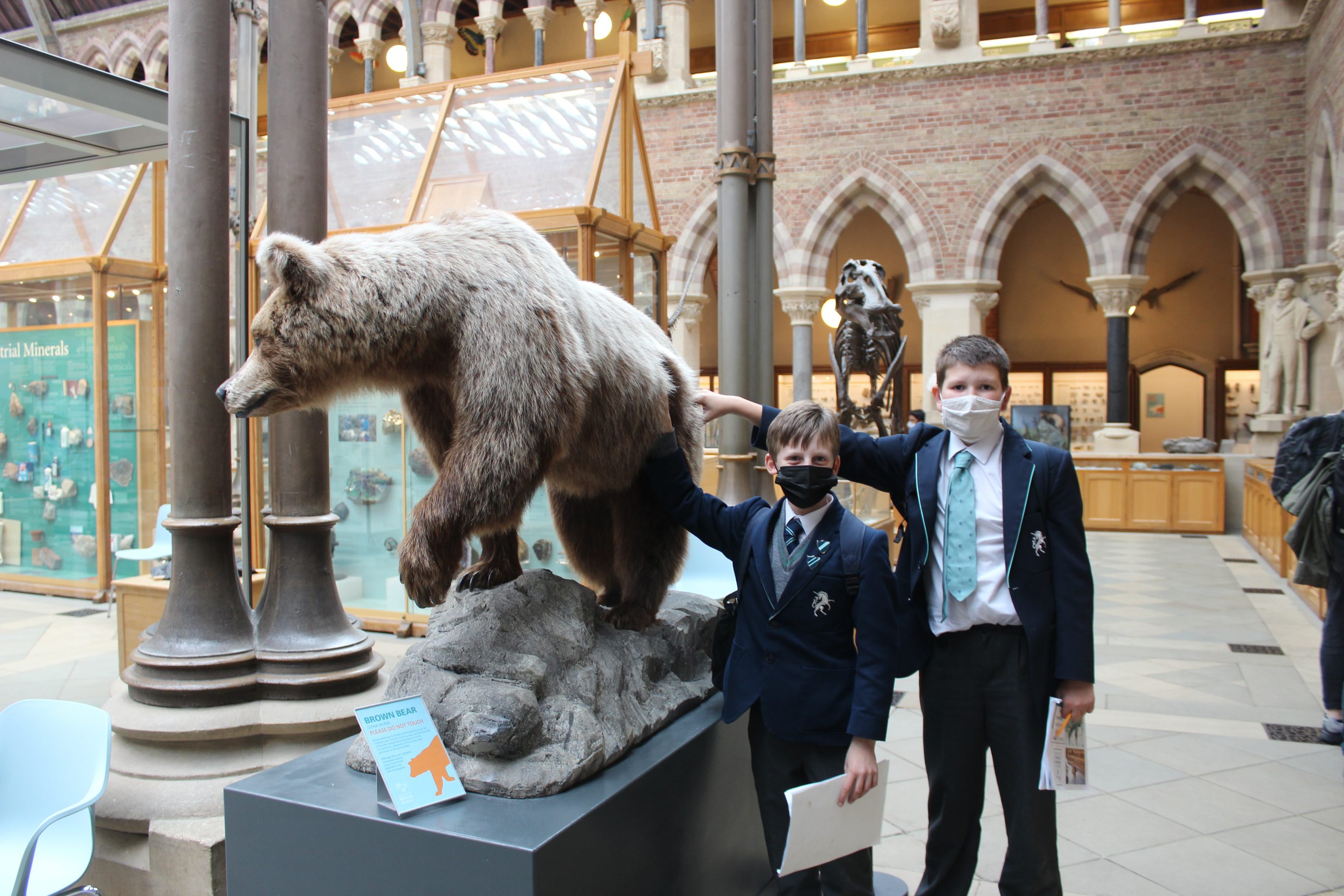 school visit natural history museum