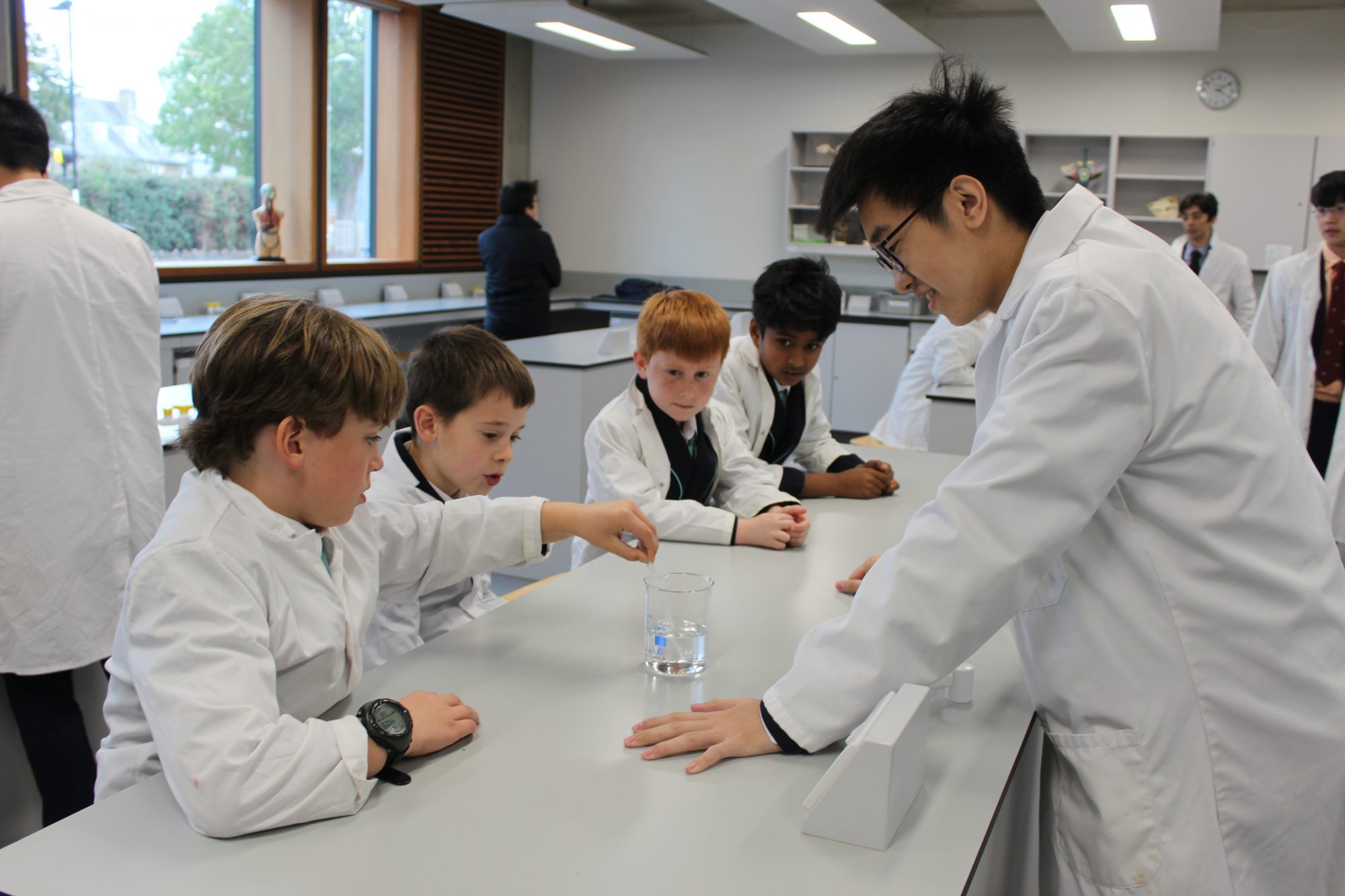 Abingdon Prep and Abingdon School partnership science lesson