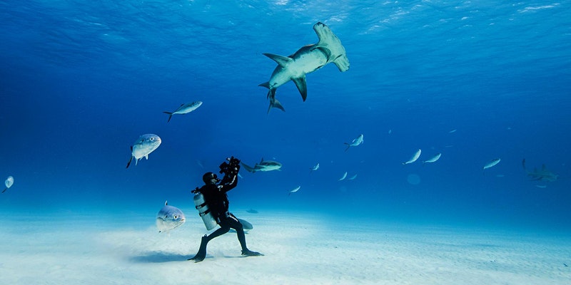 SCUBA Diver walking across sea bed with fish surrounding