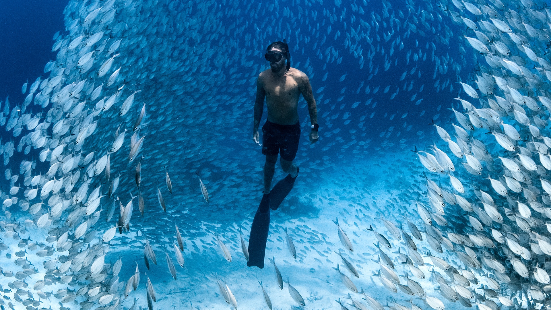 Diver swimming upright amongst a school of fish