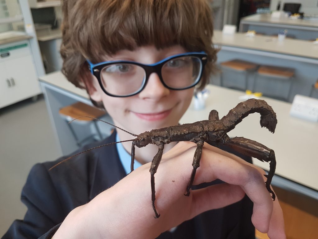 Abingdon School entomology society