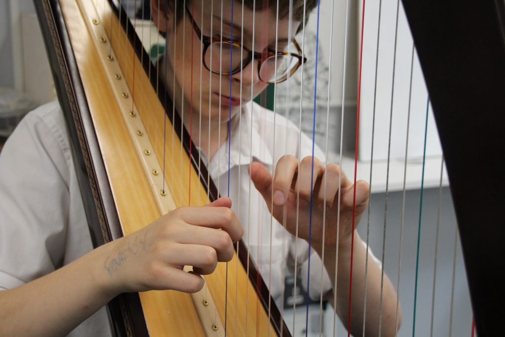 Abingdon School harp lesson